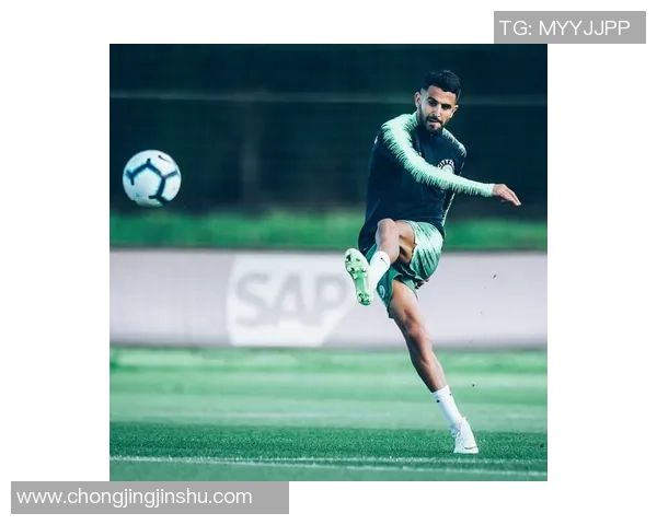 德国足球明星独特头像赏析展现球场上的英姿与魅力